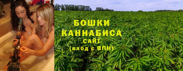 трава Переславль-Залесский