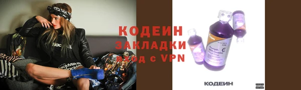 хмурый Пестово