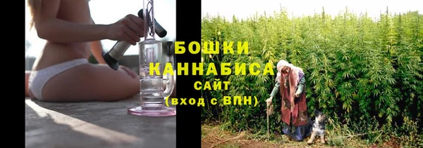 хмурый Пестово