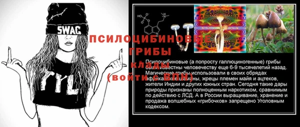 трава Переславль-Залесский