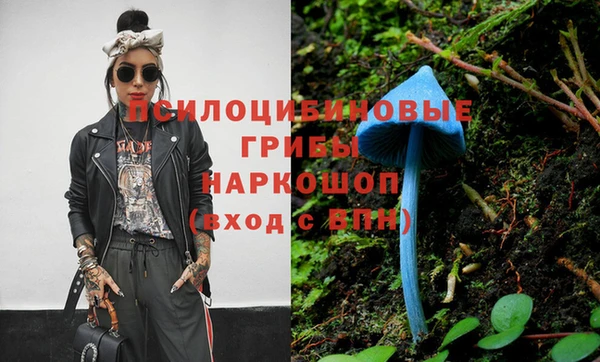 хмурый Пестово