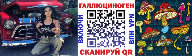 Купить закладки  Заинск  Псилоцибиновые грибы мицелий 