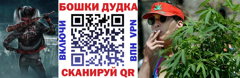 Купить закладки Заинск Бошки марихуана Amnesia